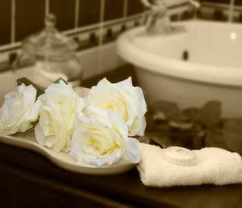 A White Rose Guest House 布隆方丹 外观 照片